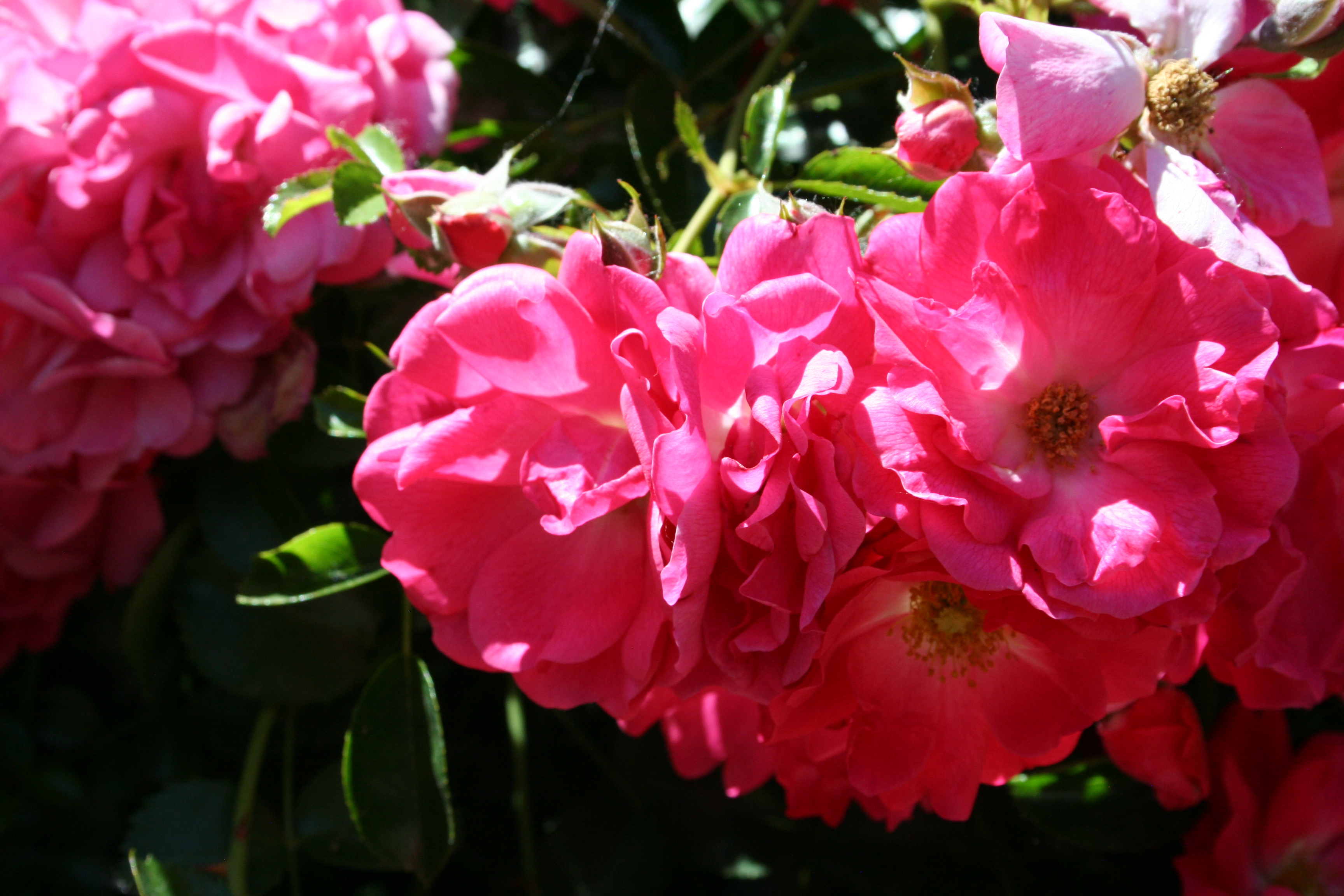 Creative outdoor photo sample